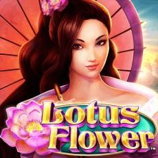 Admiral nova igra Lotus Flower™ GreenTube Novomatic