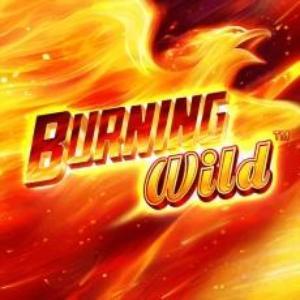 Burning Wild™