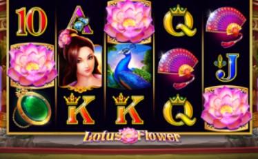 Admiral nova igra Lotus Flower™ GreenTube Novomatic