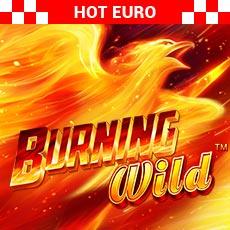 Burning Wild