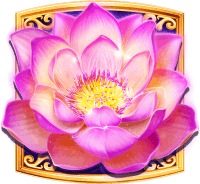 Admiral nova igra Lotus Flower™ GreenTube Novomatic