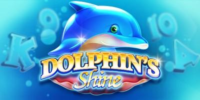 Dolphin's Shine Fazi