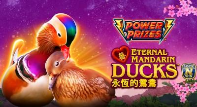 POWER PRIZES™ – Eternal Mandarin Ducks™
